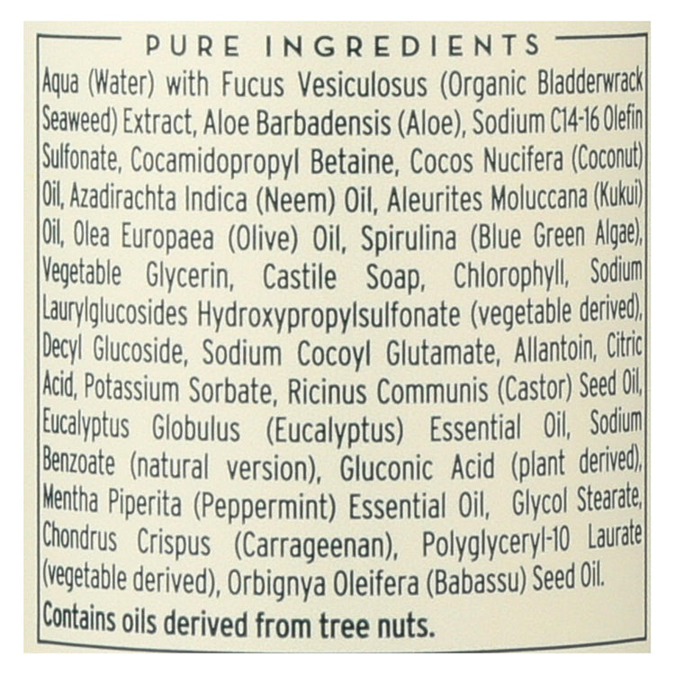 The Seaweed Bath Co Body Wash - Eucalyptus & Peppermint - 12 fl oz